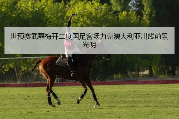 世预赛武磊梅开二度国足客场力克澳大利亚出线前景光明